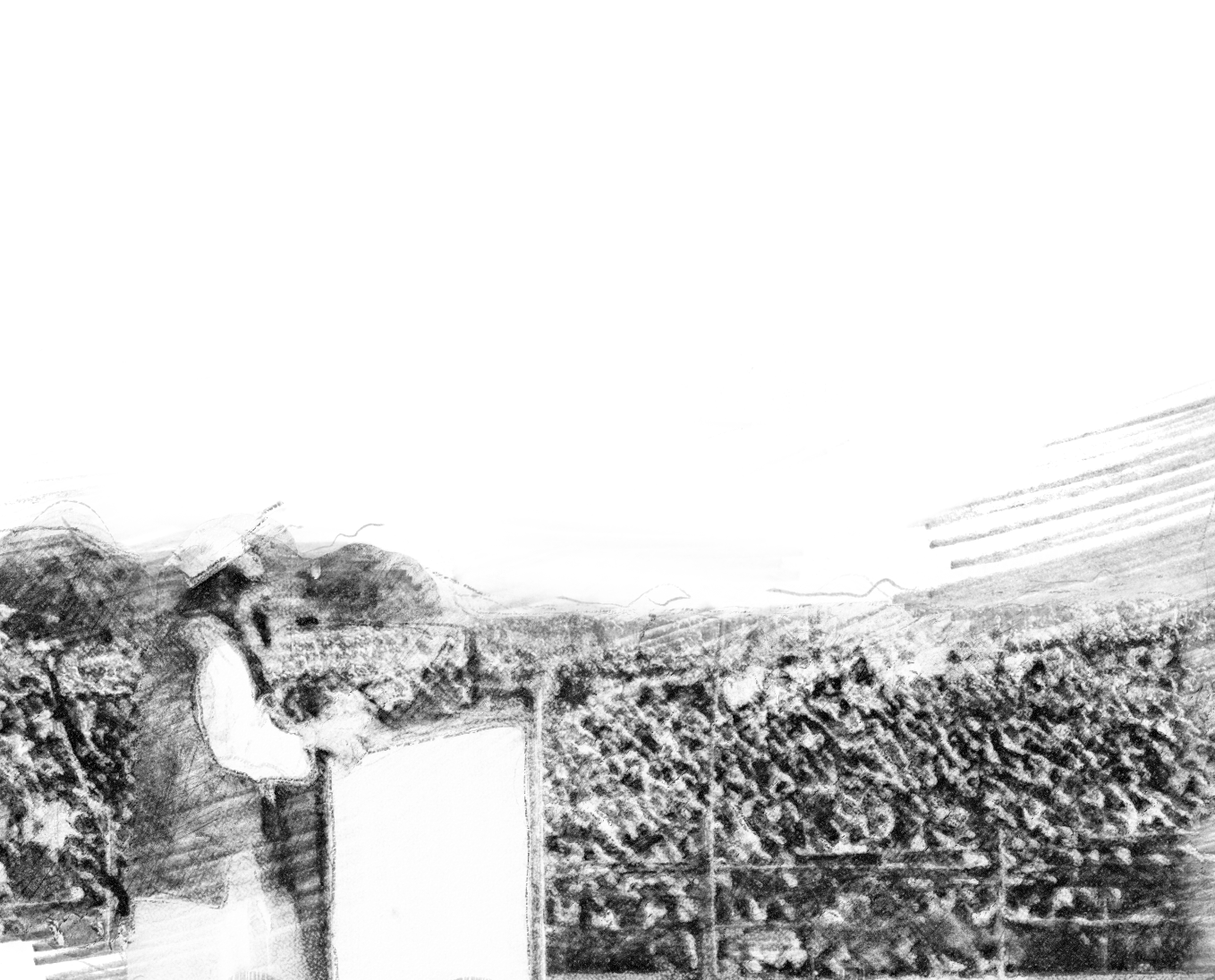 First Half of 20th Century 